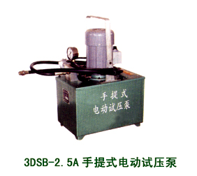 3DSB-2.5A手提式電動(dòng)試壓泵